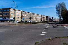 buiten 8.jpg